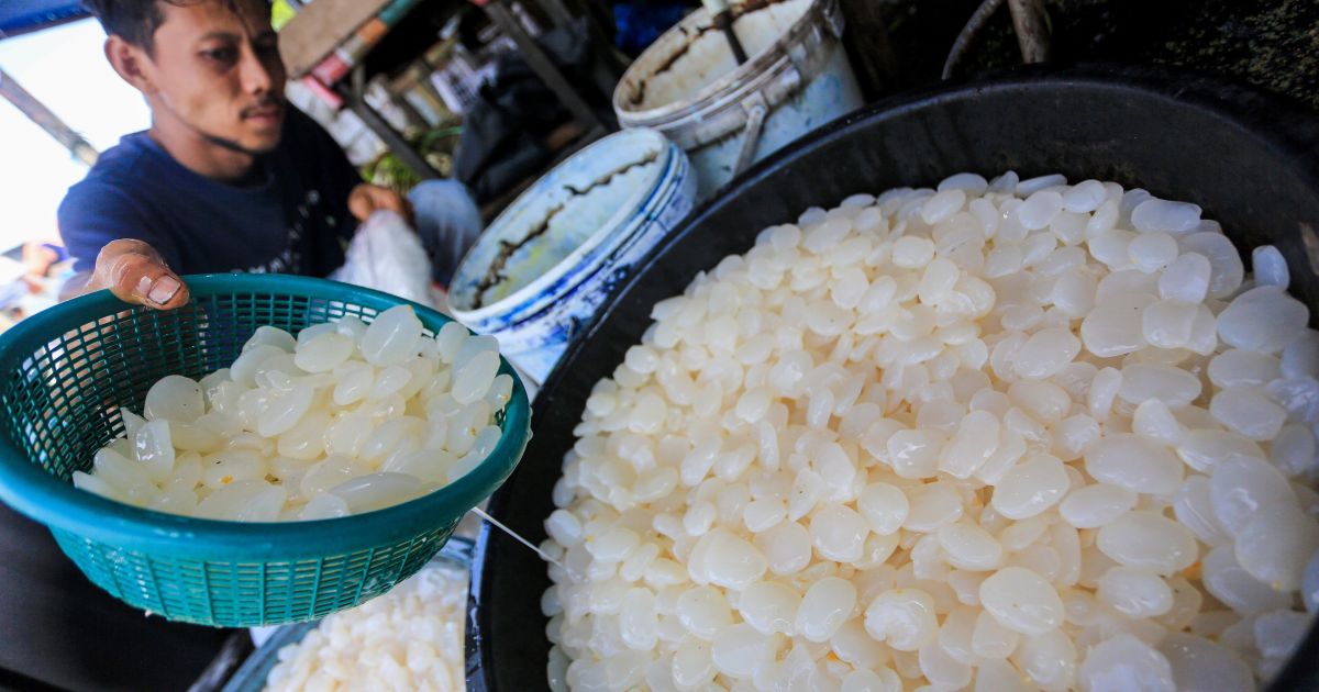 Jelang Ramadan, Geliat UMKM Kolang-Kaling Mulai Kebanjiran Pesanan
