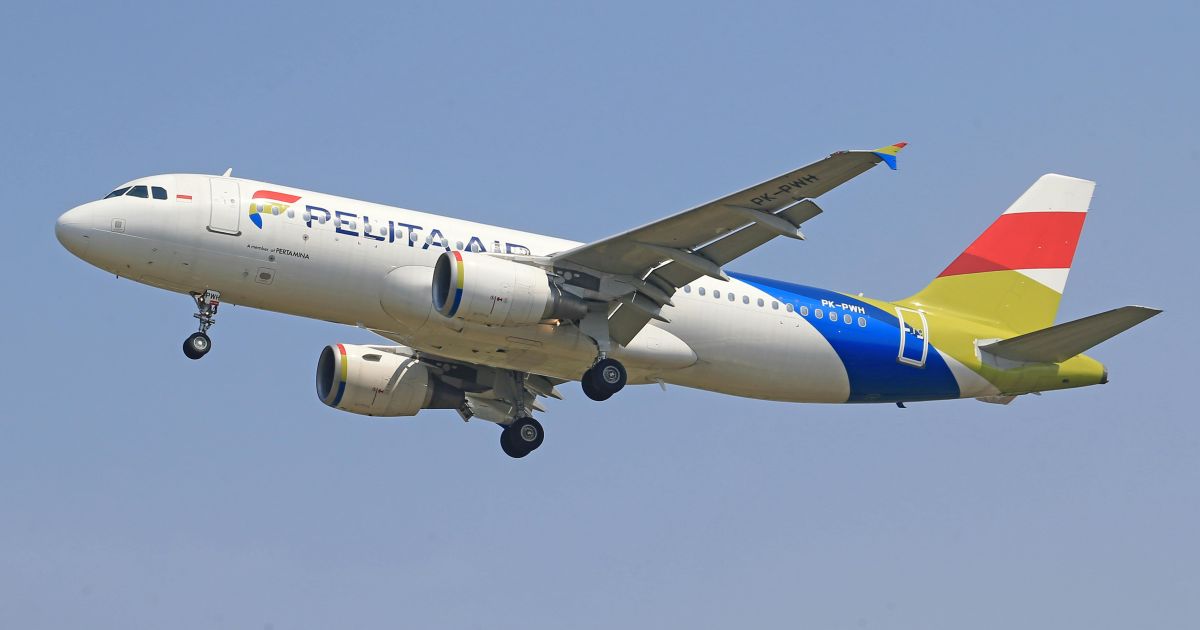 Pesawat Pelita Air Hancur Lebur di Nunukan: Saksi Mata Lihat Adegan Mengerikan Ini!