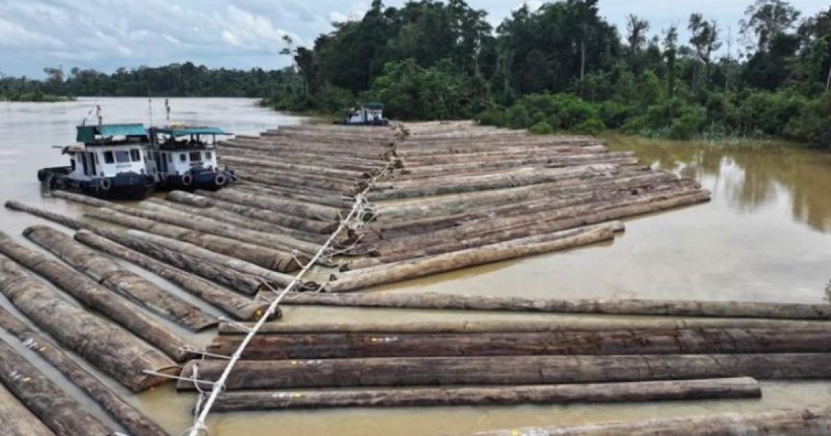 Kemenhut Klarifikasi Pengangkutan Kayu di Sungai Kapuas dengan Lakukan Pengecekan Fisik Secara Ketat