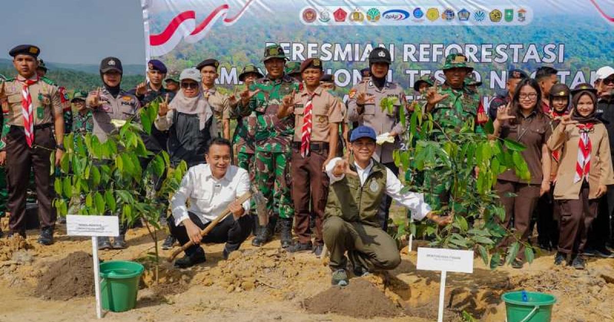 Menhut Resmikan Reforestasi Taman Nasional Tesso Nilo Untuk Pemulihan Habitat Gajah Sumatera