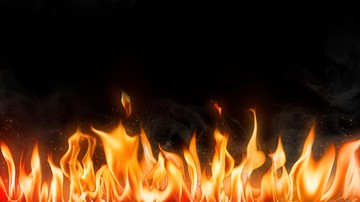 Foto: Ilustrasi (Rawpixel/Freepik).