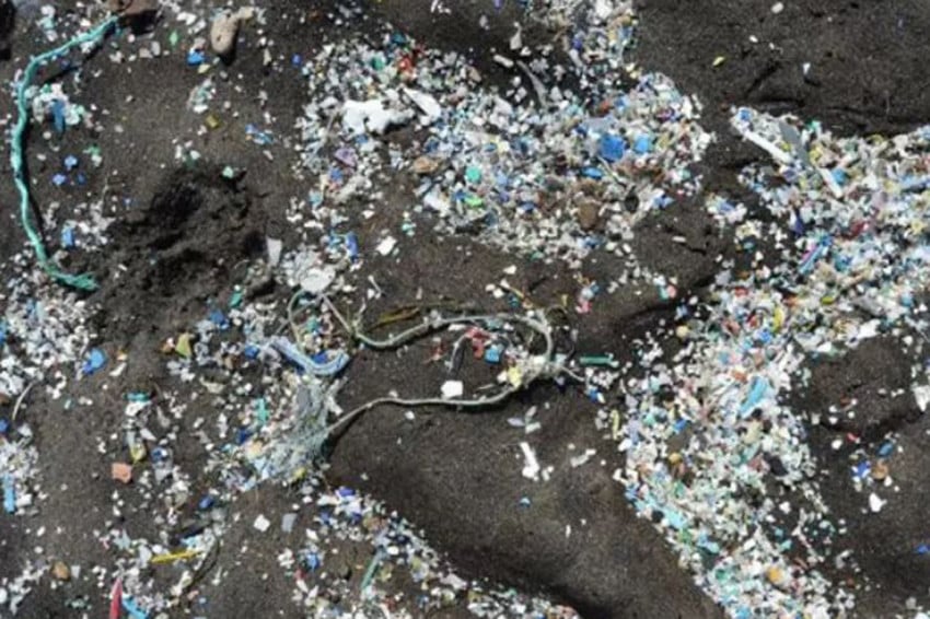 Ancaman Senyap: Timbal dan Mikroplastik Mengintai Masa Depan Generasi Penerus Bangsa