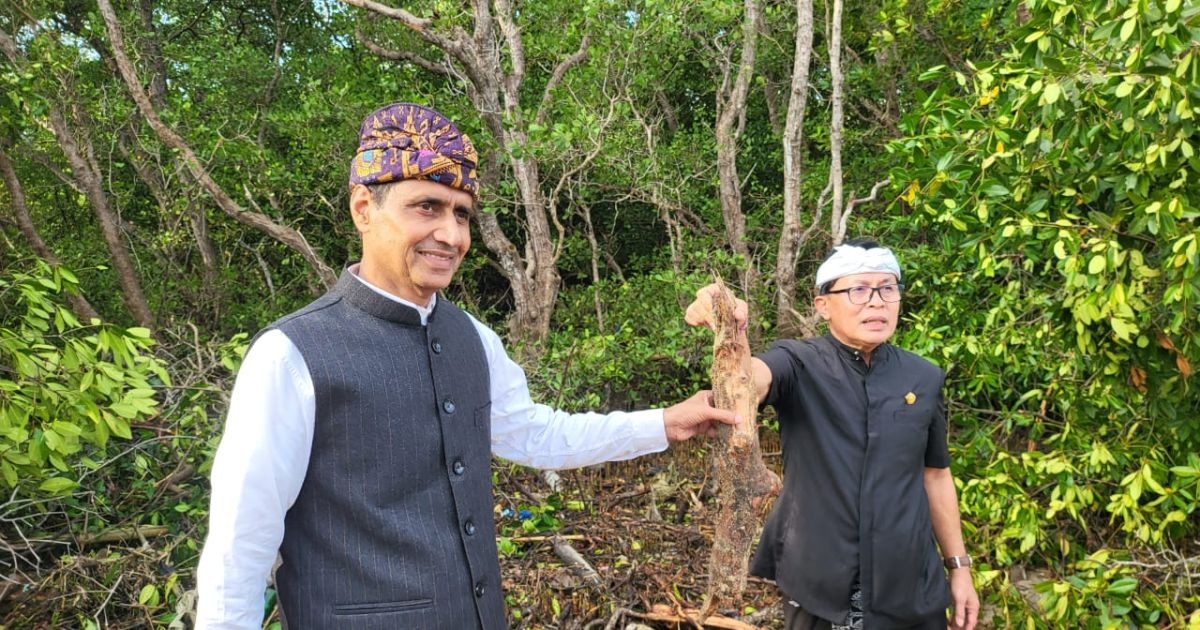 'Siapa yang Potong Mangrove?' — Pansus TRAP Bali Ungkap Dugaan Pelanggaran Serius, Desak Cabut SKGB dan Hentikan Aktivitas BTID