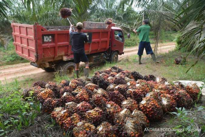 Proyeksi Cuan Emiten CPO Meningkat Tajam Seiring Penerapan Mandat Biodiesel B50
