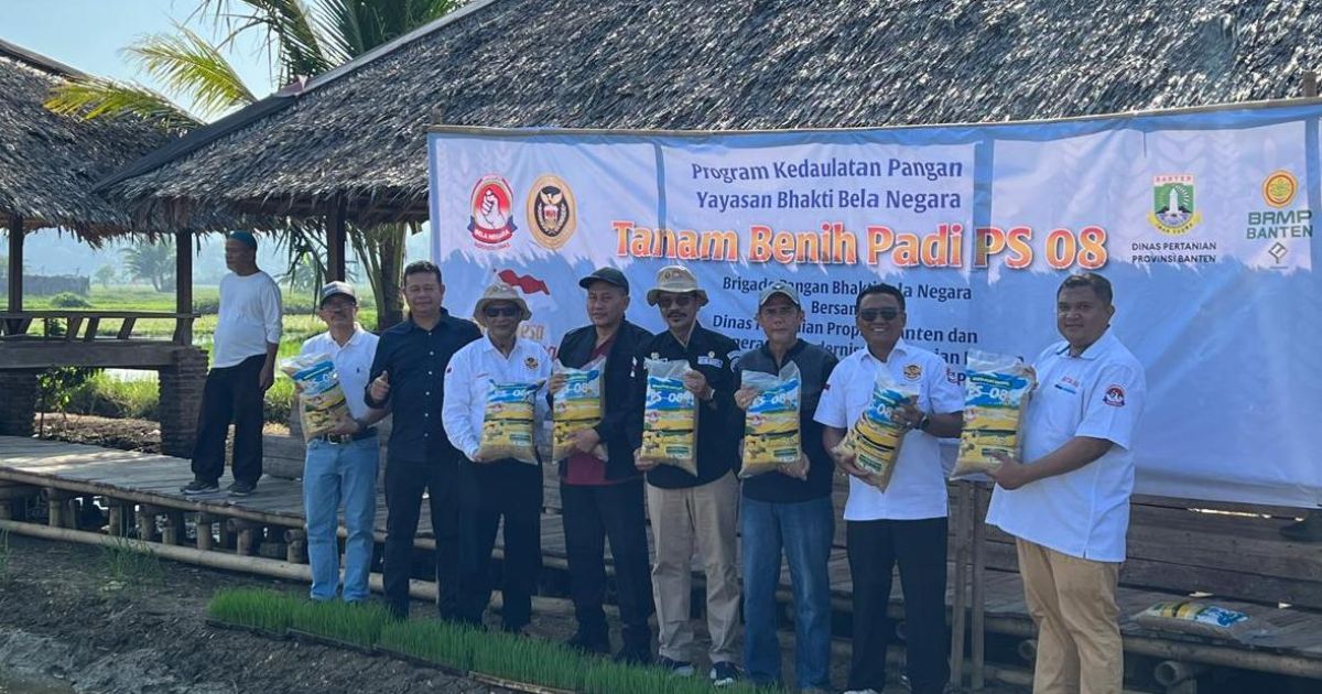 Perkuat Ketahanan Pangan, 1.500 Hektare Lahan di Carita Banten Ditanami Padi PS 08