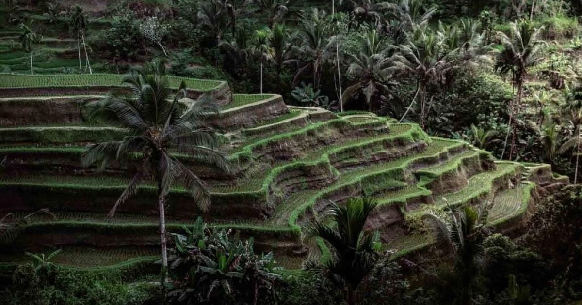 Banyak Warga Salah Beli Tanah di Denpasar, Sertifikat Terbit Tapi Tak Bisa Digunakan