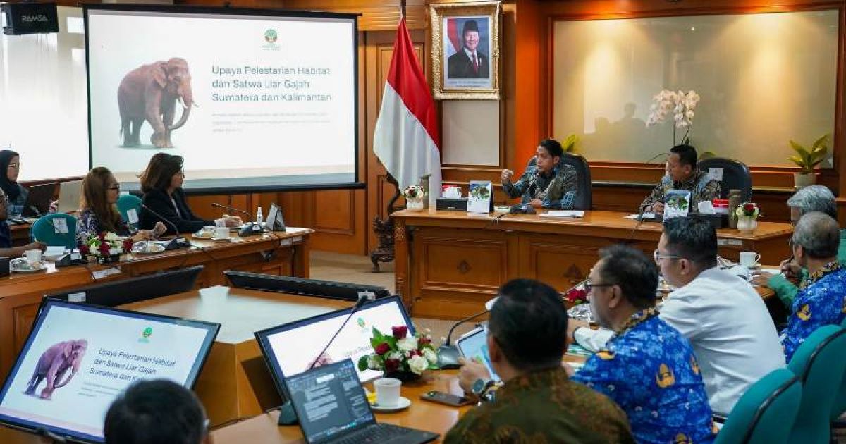 Menhut Tegaskan Komitmen Serius Pemerintah Melindungi Habitat Gajah Sumatera dan Kalimantan