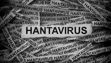 Sebaran 23 Kasus Hantavirus di Sembilan Provinsi Terungkap, Kemenkes Ingatkan Risiko Fatalitas