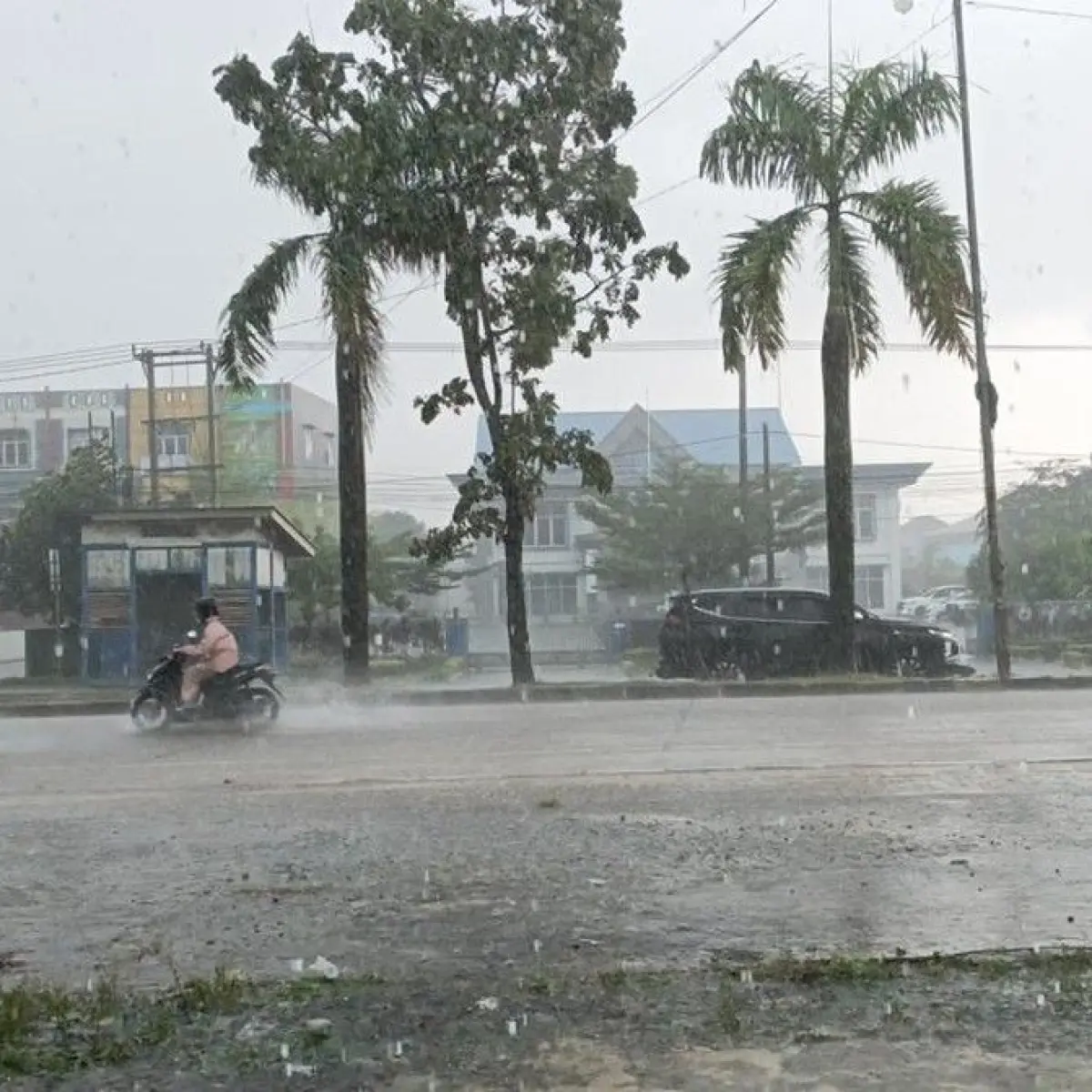 Antisipasi Cuaca Jatim Hari Ini: BMKG Prediksi Sebagian Besar Wilayah Diguyur Hujan Ringan