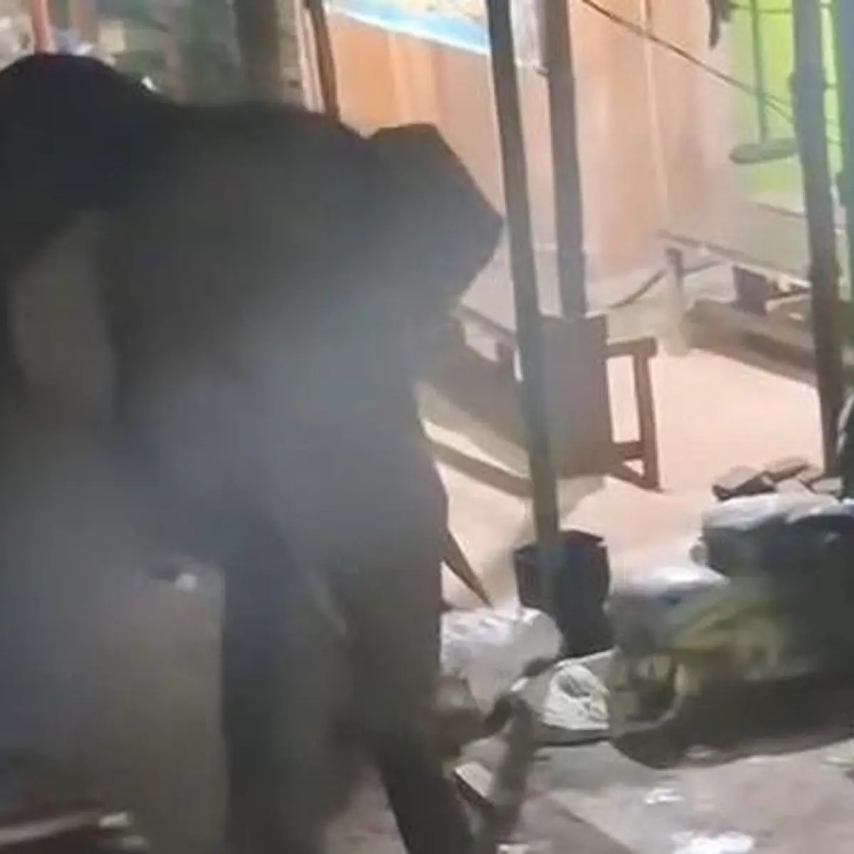 Jejak Satwa Liar: Dua Gajah Jantan Terpantau Melintas di Pasar Tradisional Ogan Komering Ilir
