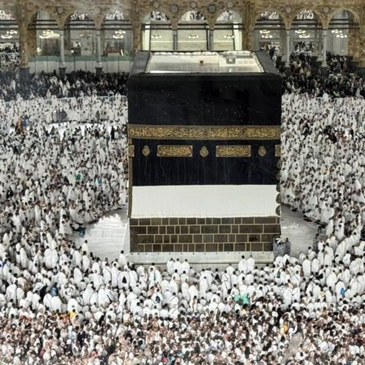 Kemenkes Arab Saudi Ungkap Stabilitas Kesehatan Jemaah Haji Pasca Puncak Ritual