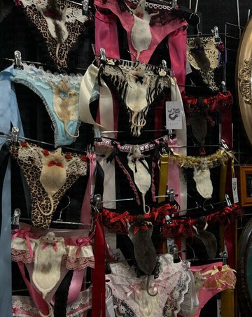 Tren Mode Kontroversial: Butik Australia Rilis Lingerie Wanita dengan Ornamen Hewan Awetan