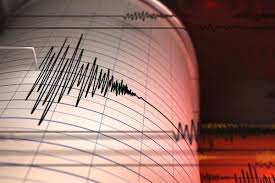 Getaran Pagi di Gorontalo: Analisis Dampak Gempa M 5,4 di Teluk Tomini dan Respons Warga