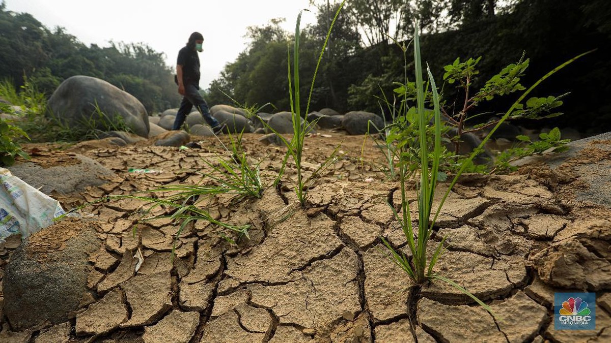 BMKG Rilis Peta Ancaman Kekeringan 2026: Pemerintah Diminta Siapkan Mitigasi Multisektor Hadapi Dampak El Nino