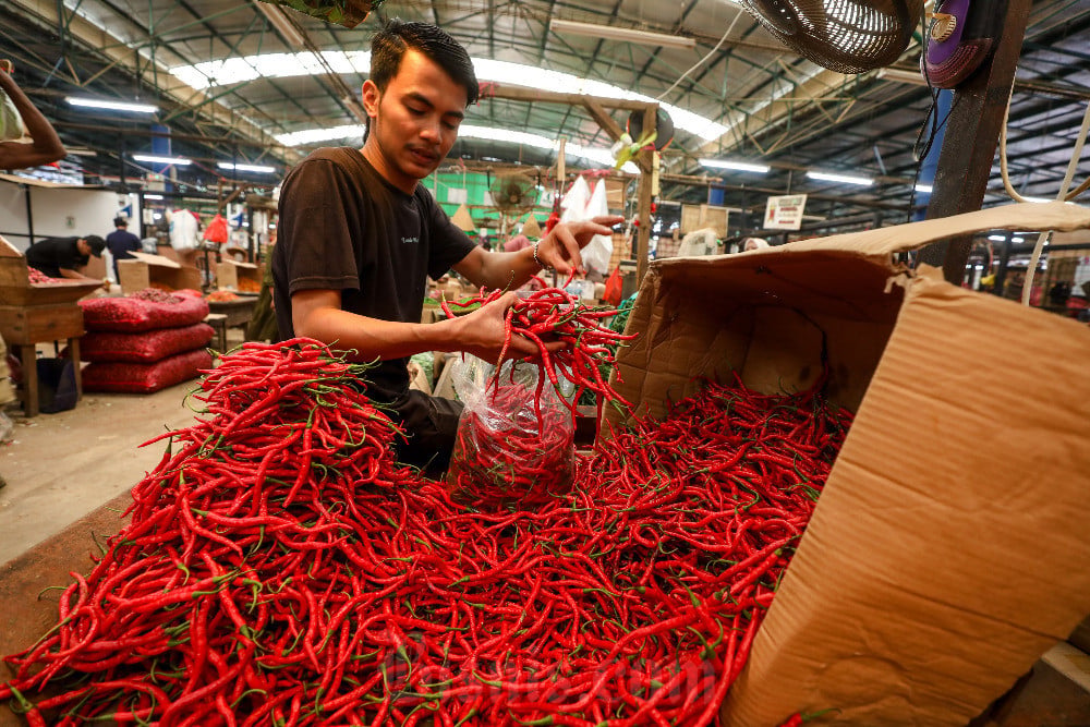Harga Komoditas Pangan Melonjak: Cabai dan Bawang Jadi Sorotan Utama Stabilitas Ekonomi