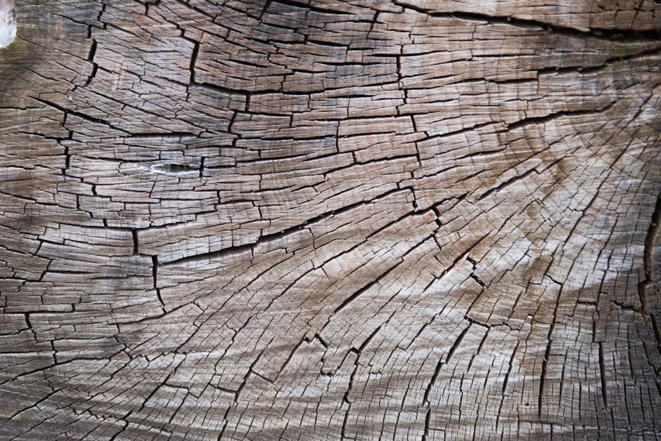 Taktik Psikologis Hadapi Wawancara Kerja Tanpa Rasa Cemas