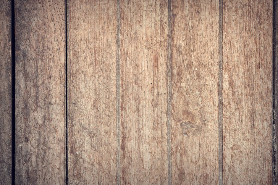 Kekuatan Melodi: Bagaimana Musik Inspiratif Mengubah Paradigma dan Semangat Hidup