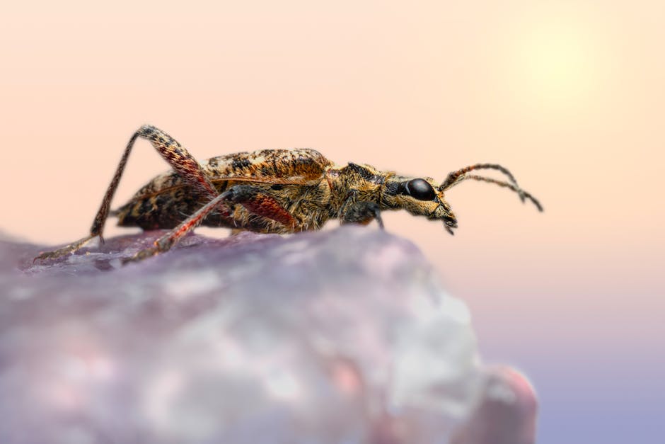 Transformasi Diri: Mengoptimalkan Momentum Ramadan untuk Pemurnian Ibadah