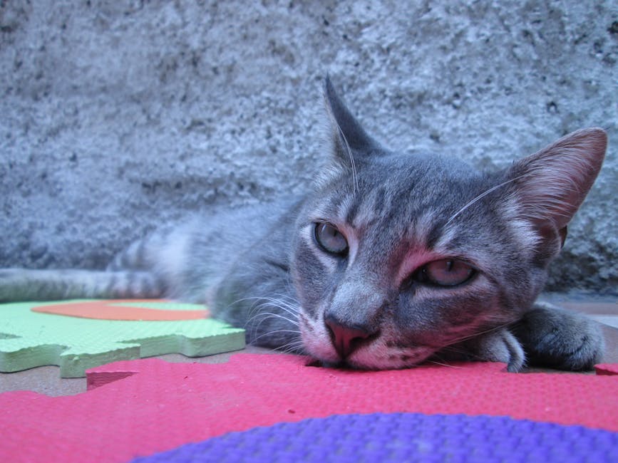 Kedaulatan Pangan Bersemi di Desa: Membangun Lumbung Pangan Abadi