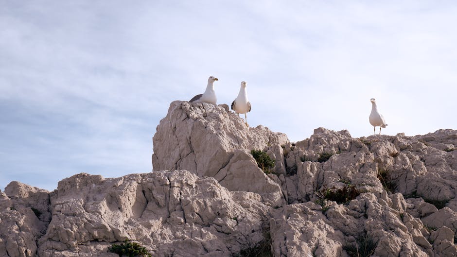 Siasat Jitu Menembus Beasiswa Melalui Narasi Personal yang Kuat